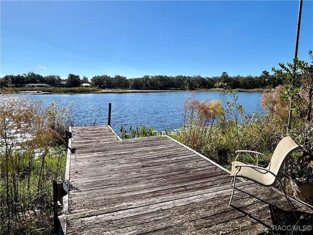 dock area with a water view