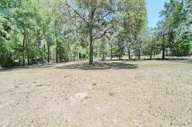 view of landscape