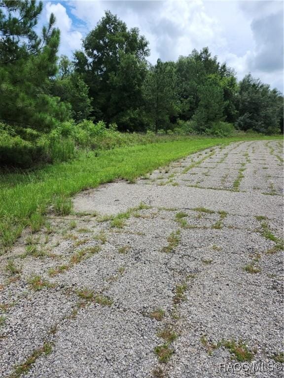 573 E Hope Pl, Dunnellon, FL 34434 - photo 4