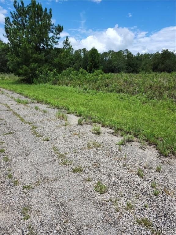 573 E Hope Pl, Dunnellon, FL 34434 - photo 3