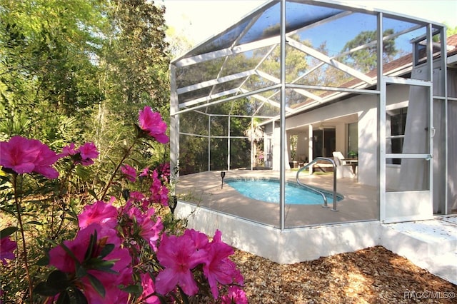 view of pool with a patio and glass enclosure