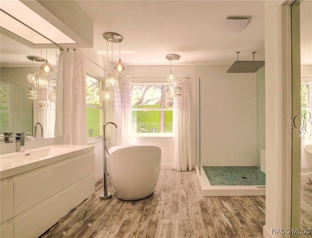 bathroom with vanity, separate shower and tub, and wood-type flooring