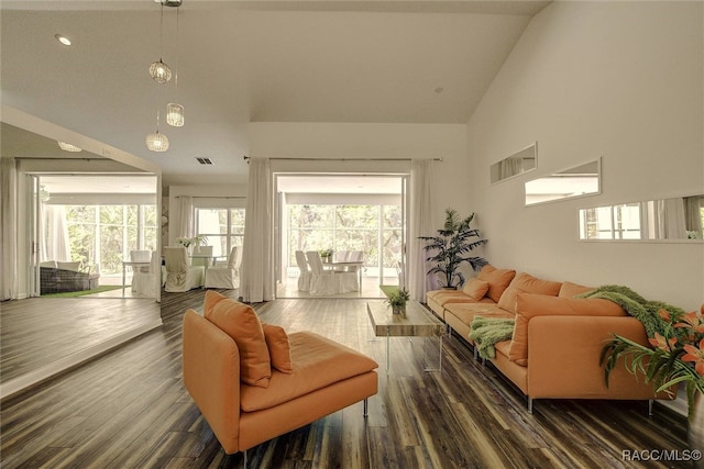 interior space featuring dark hardwood / wood-style floors, high vaulted ceiling, and plenty of natural light