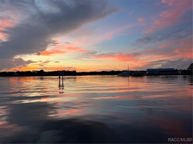 11603 W Kingfisher Ct, Crystal River, FL 34429 - photo 32