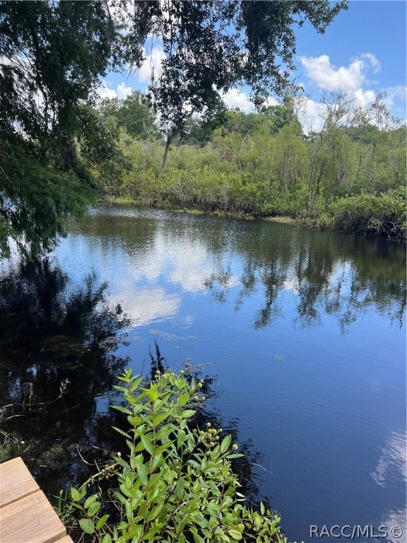 property view of water