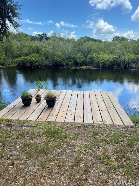 view of dock featuring a water view