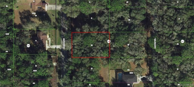 4007 S Alpine Ave, Inverness FL, 34452 land for sale