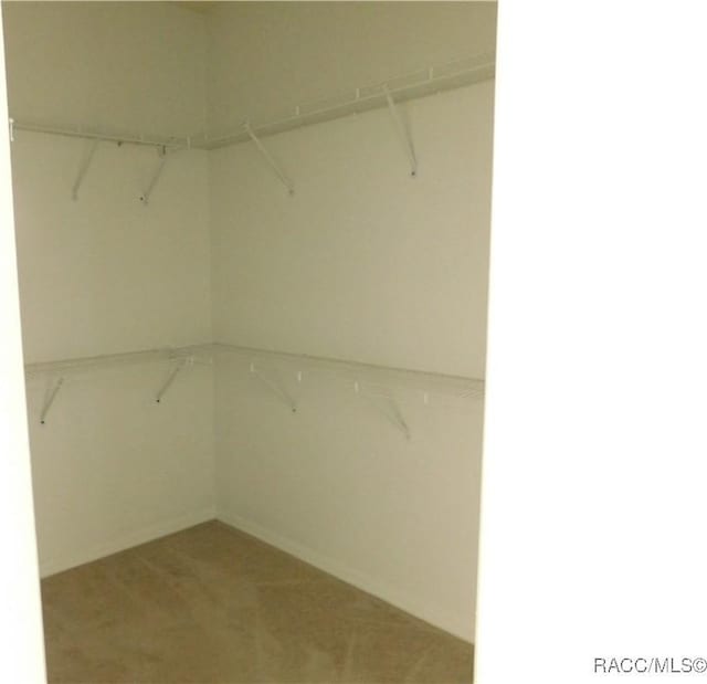 3201 N Canterbury Lake Dr, Hernando, FL 34442 - walk in closet with light carpet