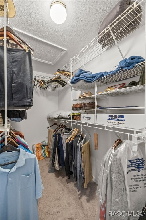 spacious closet featuring carpet