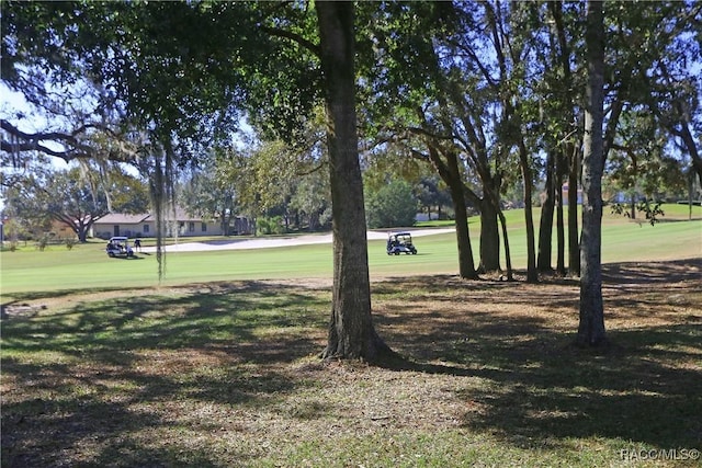 view of home's community with a yard