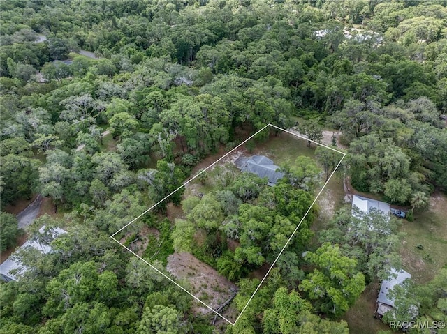 10169 W Tom Mason Dr, Crystal River, FL 34428 - photo 32