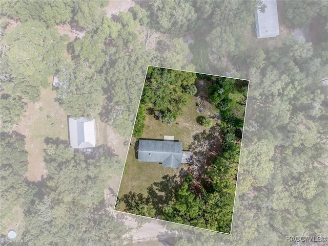 10169 W Tom Mason Dr, Crystal River, FL 34428 - photo 33