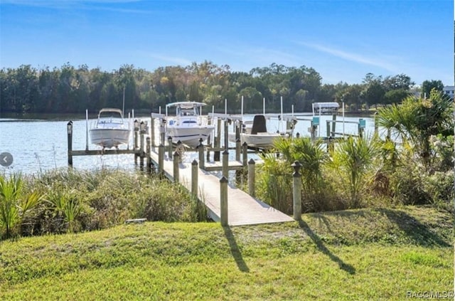 view of dock featuring a water view