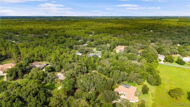 4022 N Baywood Dr, Hernando, FL 34442 - photo 89