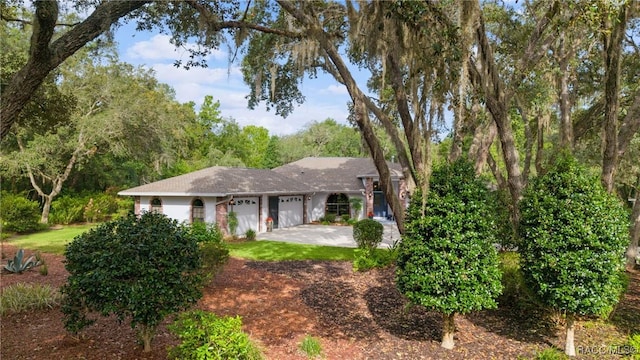 4022 N Baywood Dr, Hernando, FL 34442 - photo 11