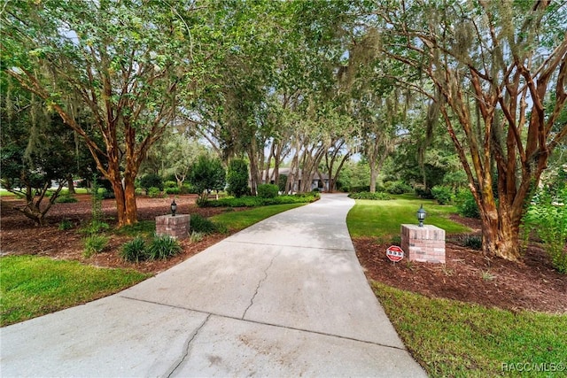 4022 N Baywood Dr, Hernando, FL 34442 - photo 14