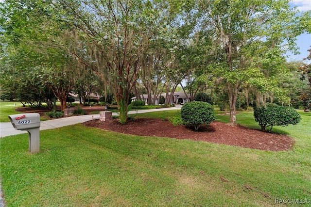4022 N Baywood Dr, Hernando, FL 34442 - photo 15