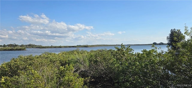 2175 S Seaport Pt, Crystal River FL, 34429 land for sale