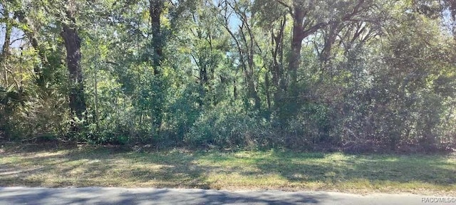 517 S Savary Ave, Inverness FL, 34453 land for sale