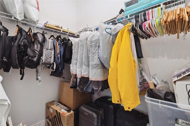 view of walk in closet