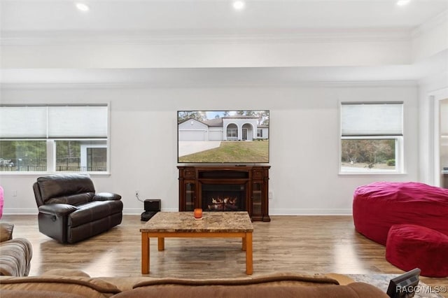 living room with crown molding and light wood-type flooring