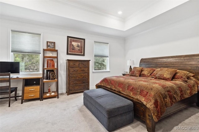 carpeted bedroom with a raised ceiling and ornamental molding