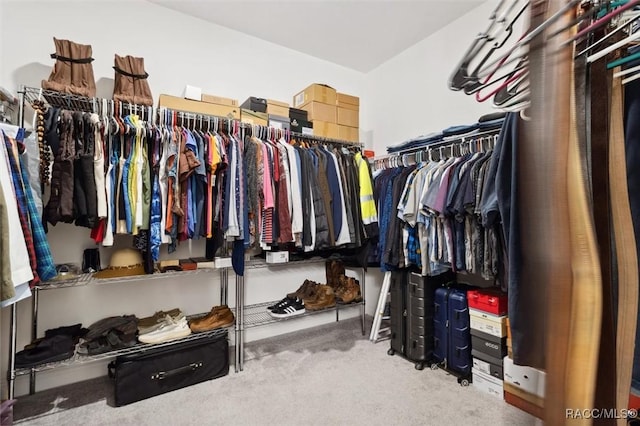 walk in closet with carpet floors