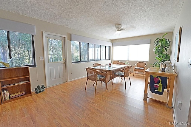 dining area with ceiling fan, light hardwood / wood-style floors, and a textured ceiling