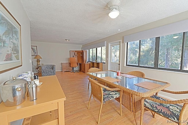 dining area featuring light hardwood / wood-style floors and a textured ceiling