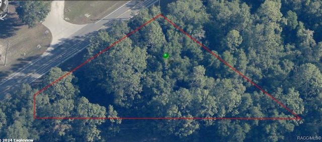 10986 W Dunnellon Rd, Crystal River, FL 34428 - photo 5