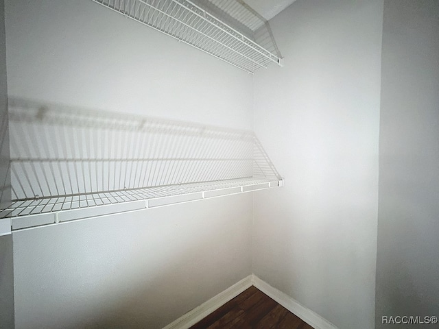 walk in closet featuring wood-type flooring