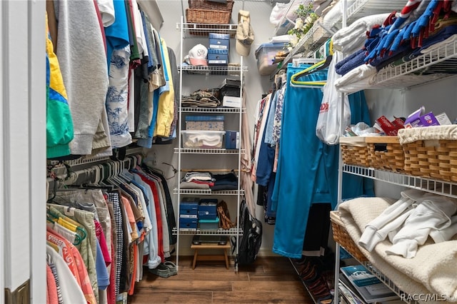 walk in closet featuring dark wood-type flooring