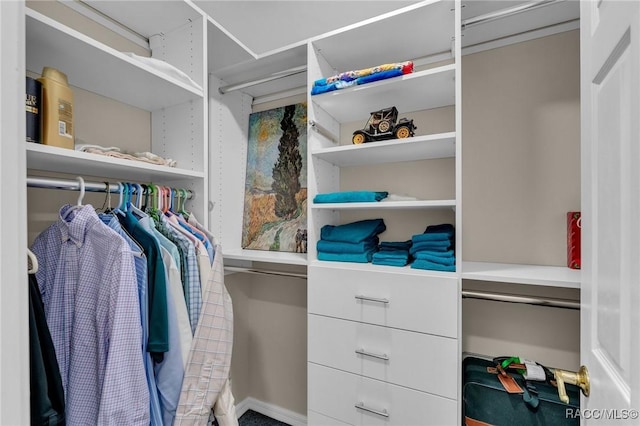 view of spacious closet