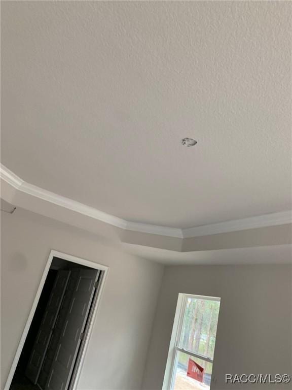 details with crown molding and a textured ceiling