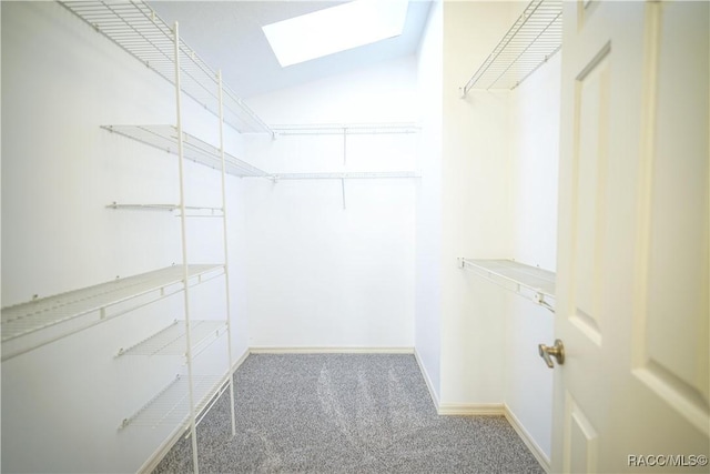 walk in closet featuring lofted ceiling with skylight and carpet