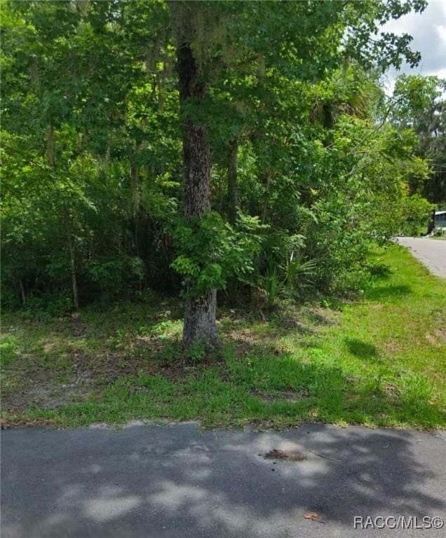 TBD County Road 428 Road, Lake Panasoffkee FL, 33538 land for sale