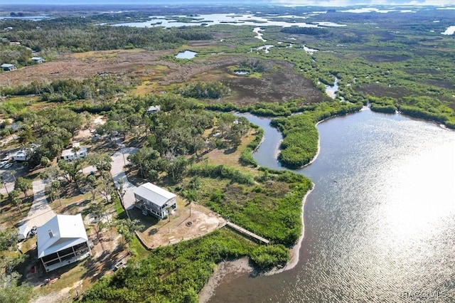 birds eye view of property with a water view and a forest view