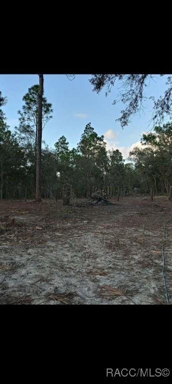 8486 N Calcutta Ave, Dunnellon, FL 34433 - photo 2
