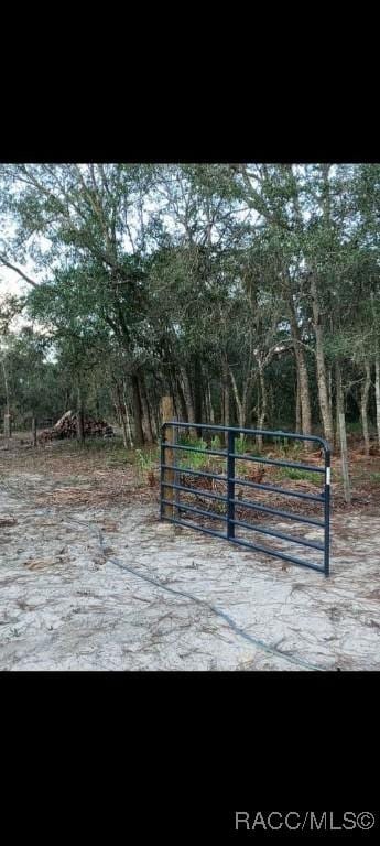 8486 N Calcutta Ave, Dunnellon, FL 34433 - photo 1