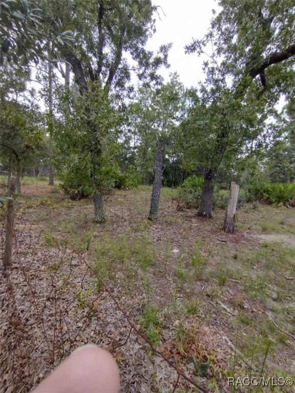 8486 N Calcutta Ave, Dunnellon, FL 34433 - photo 3