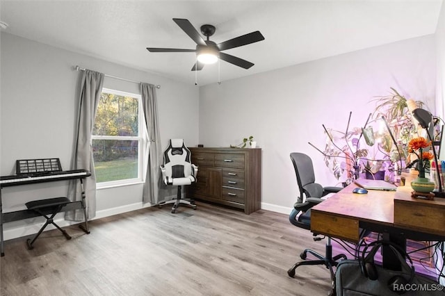 office with light wood-type flooring and ceiling fan