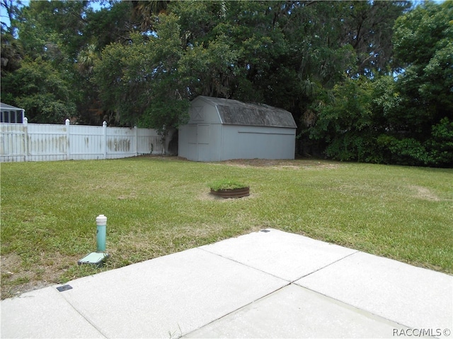 view of yard featuring a patio and a shed