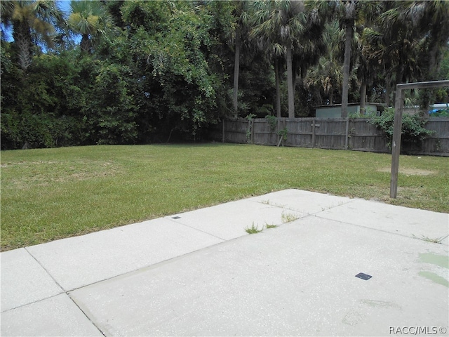 view of yard featuring a patio