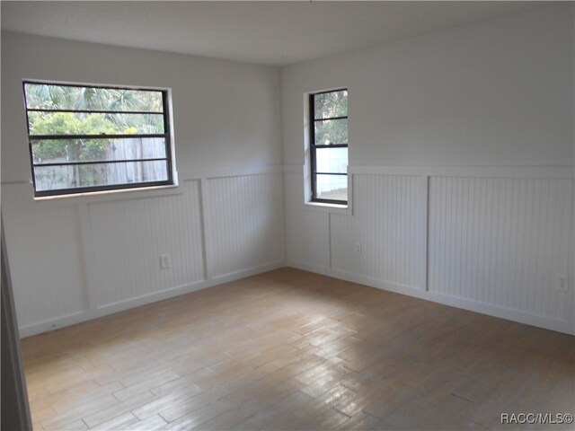 empty room featuring a wealth of natural light and light hardwood / wood-style flooring