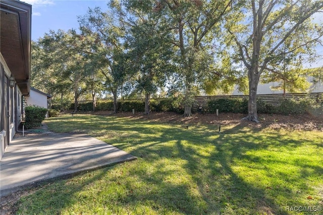 view of yard featuring a patio area