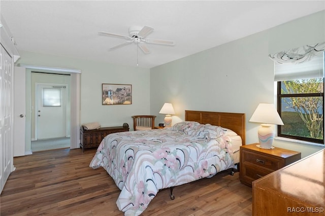 bedroom featuring ceiling fan, dark hardwood / wood-style floors, and a closet