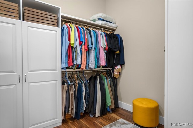 walk in closet featuring wood finished floors