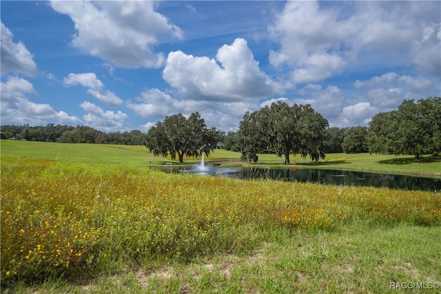 view of landscape featuring a water view