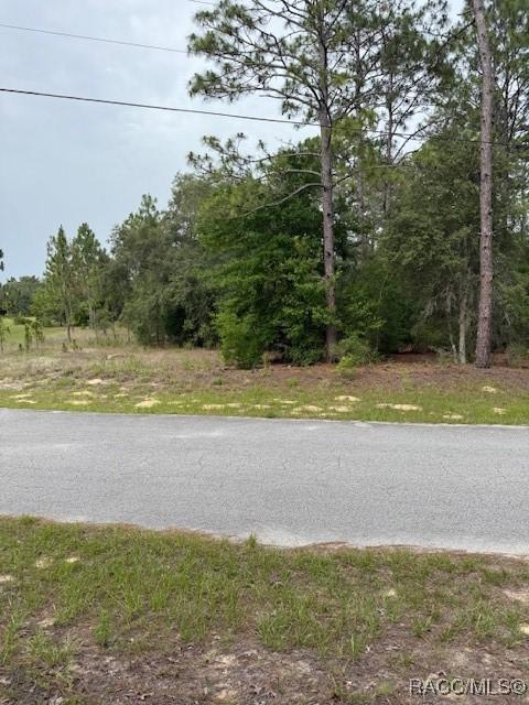 BLK129LOT1 SW 66th Loop, Dunnellon, FL 34432
