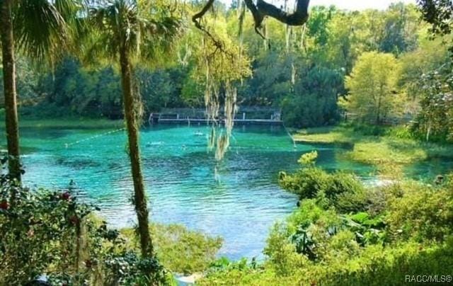 BLK129LOT1 SW 66th Loop, Dunnellon, FL 34432